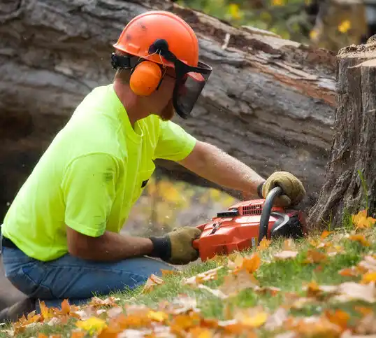 tree services White Haven